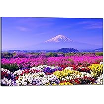 Amazon.co.jp: 山 森 アートパネル 森林 緑色 自然風景 ポスター 風景